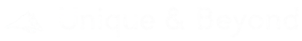 Unique & Beyond